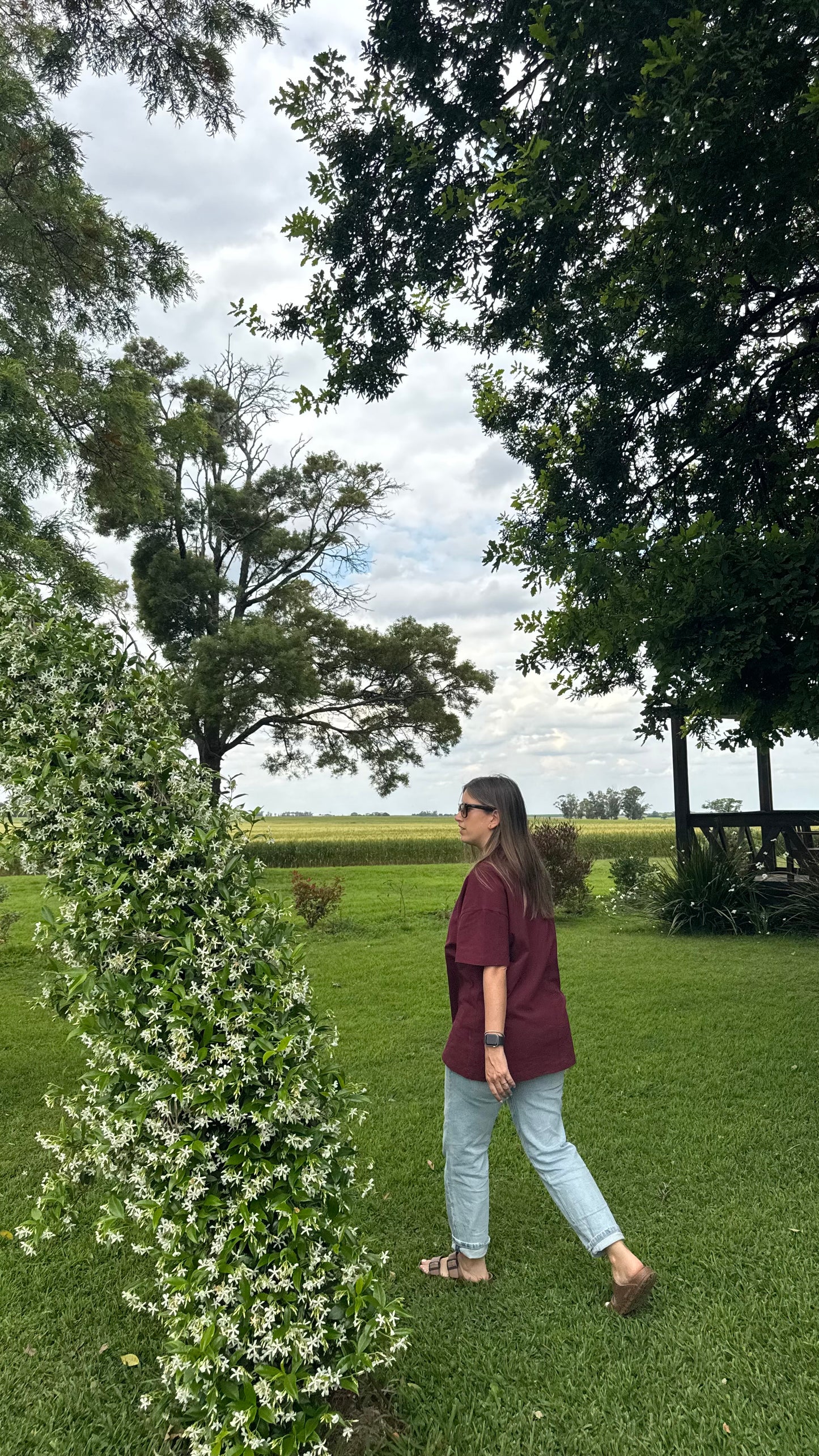 Remerón Jasper - BORDO